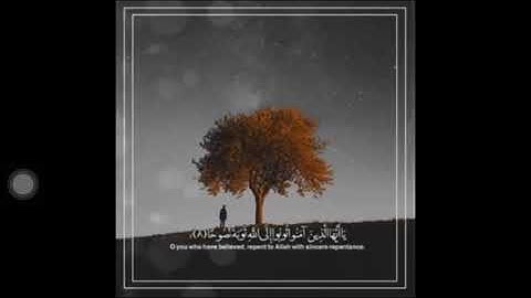 قران كريم قصير بصوت جميل جدا جدا اجر لي ولك 💛.