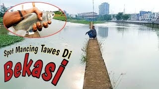 Spot Mancing Tawes Di Tengah Kota Bekasi‼️