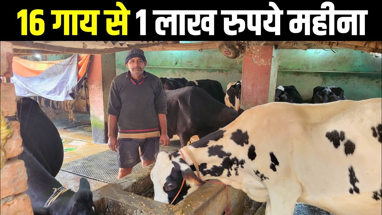 Познакомьтесь с фермером из района Банка, который зарабатывает сотни тысяч рупий в месяц, разводя...