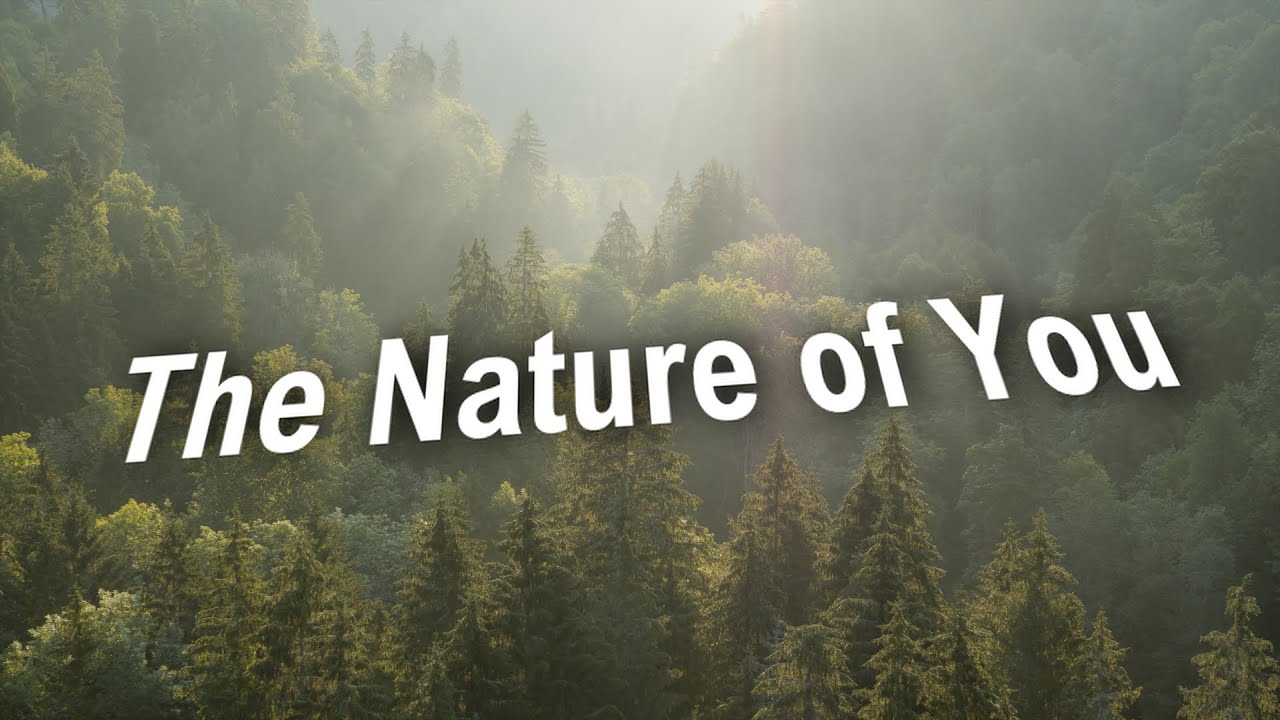 The Nature of You - YouTube