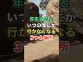 年をとるといつの間にか行かなくなる3つの場所　#名言 #雑学 #知恵 #開運
