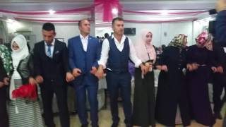 Muş düğün