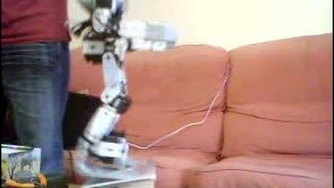 Bioloid humanoid dynamic standing 2