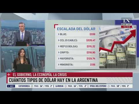 Cuántos tipos de dólar hay en la Argentina. El Gobierno, la economía y la crisis