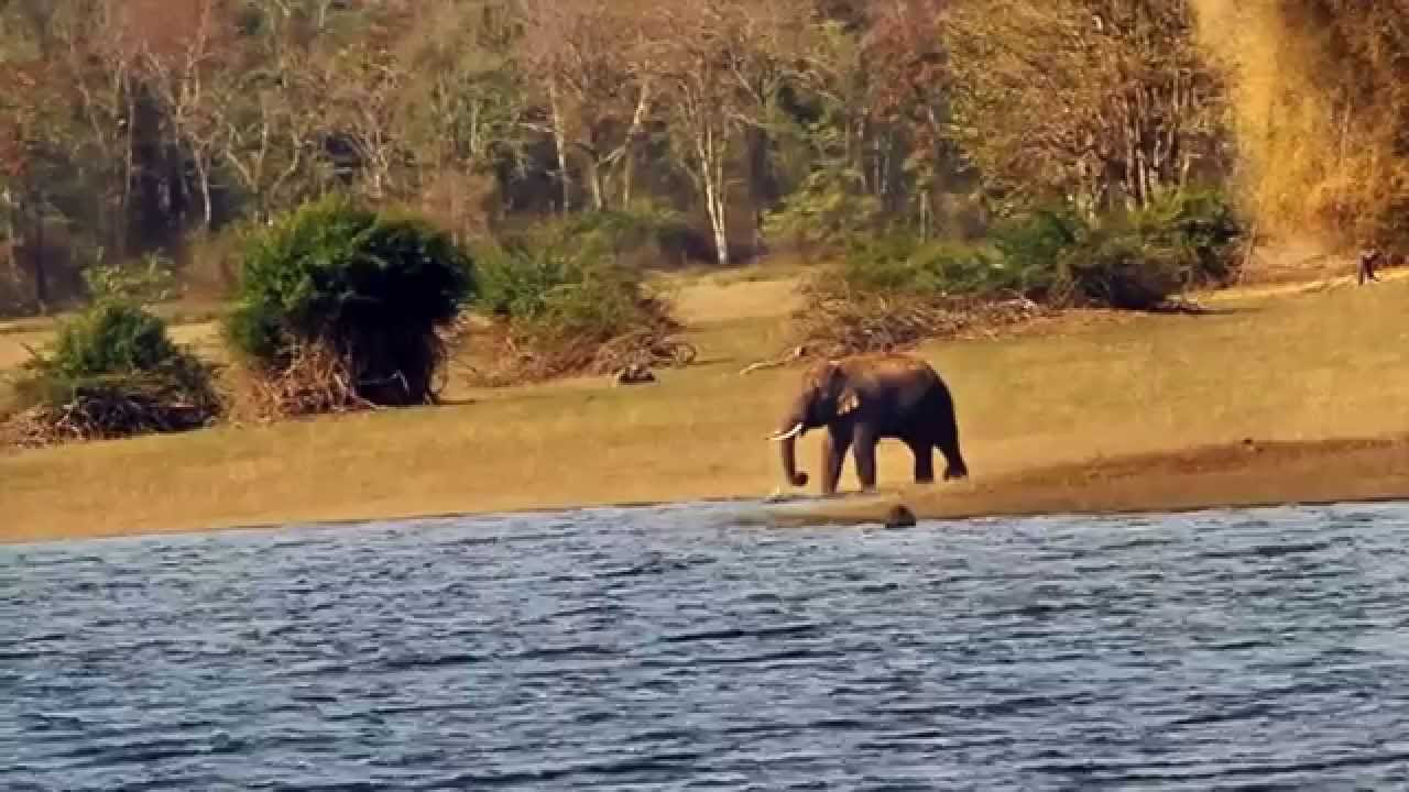 Kannada   The UNSUNG   Documentary on the life at Bhadra