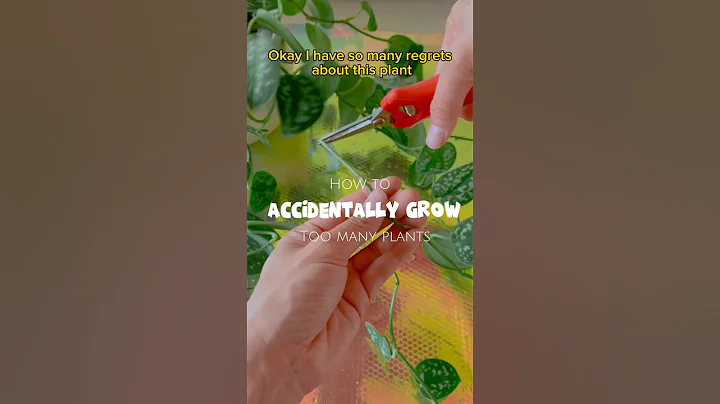 How to ACCIDENTALLY Grow TOO MANY PLANTS #shorts #houseplants #propagation #repotting #indoorplants