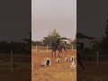  لاتحسبوني لبست من الليالي السواد  