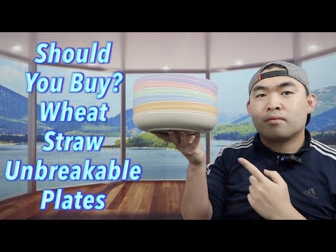 Should You Buy?