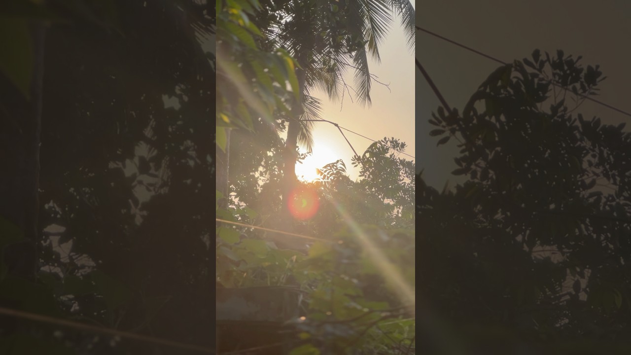 Morning🌞meeting with🌸natural ☘️🍁 