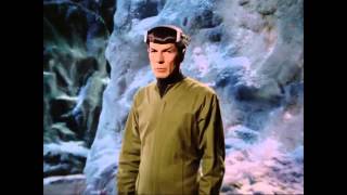 Special Review: Spock's Brain Profile