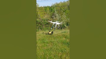 DJI Phantom 4 lift test