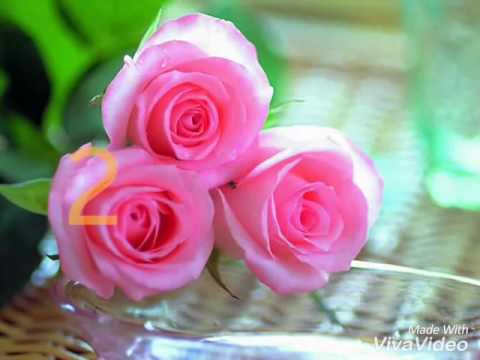 اختاري وردة و شوفي مين يعطيكي اياها من CNBLUE 