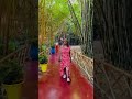 That happy walk and thinking of my fav song! 😀#jardin #Bluegarden #frenchgarden #Jardinemajorelle