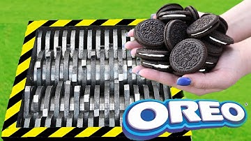 EXPERIMENT COLORFUL COOKIE VS SHREDDER