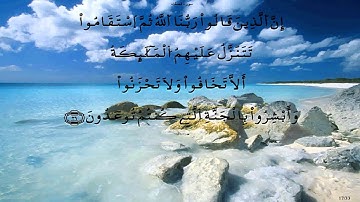 سورة فصلت * قالون * قنيوه