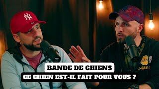 Ce chien est-il fait pour VOUS ? - Bande de Chiens