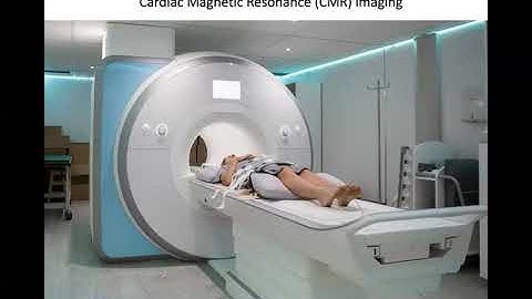 Dr. Dirk Husmeier Presentation