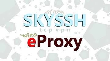 eProxy for PC - Modified outgoing request - Send data requests through a proxy | How to use?