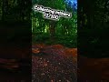 12/100 Mtbers #bikingwiththeboyz  #bikingfun #bikersboyz #bike #mtb