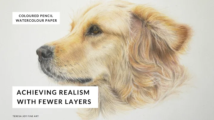 Drawing a Golden Retriever Dog.  Beginner Coloured...