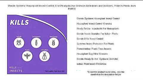 Bonide Systemic Houseplant Insect Control, 8 oz Ready-to-Use Granules for Indoors and Outdoors, Prot