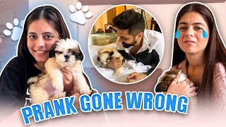 Prank on Shilpa and Sahil🐶|| Prank Gone Wrong || Jaipur Vlog || Kajal Choudhary