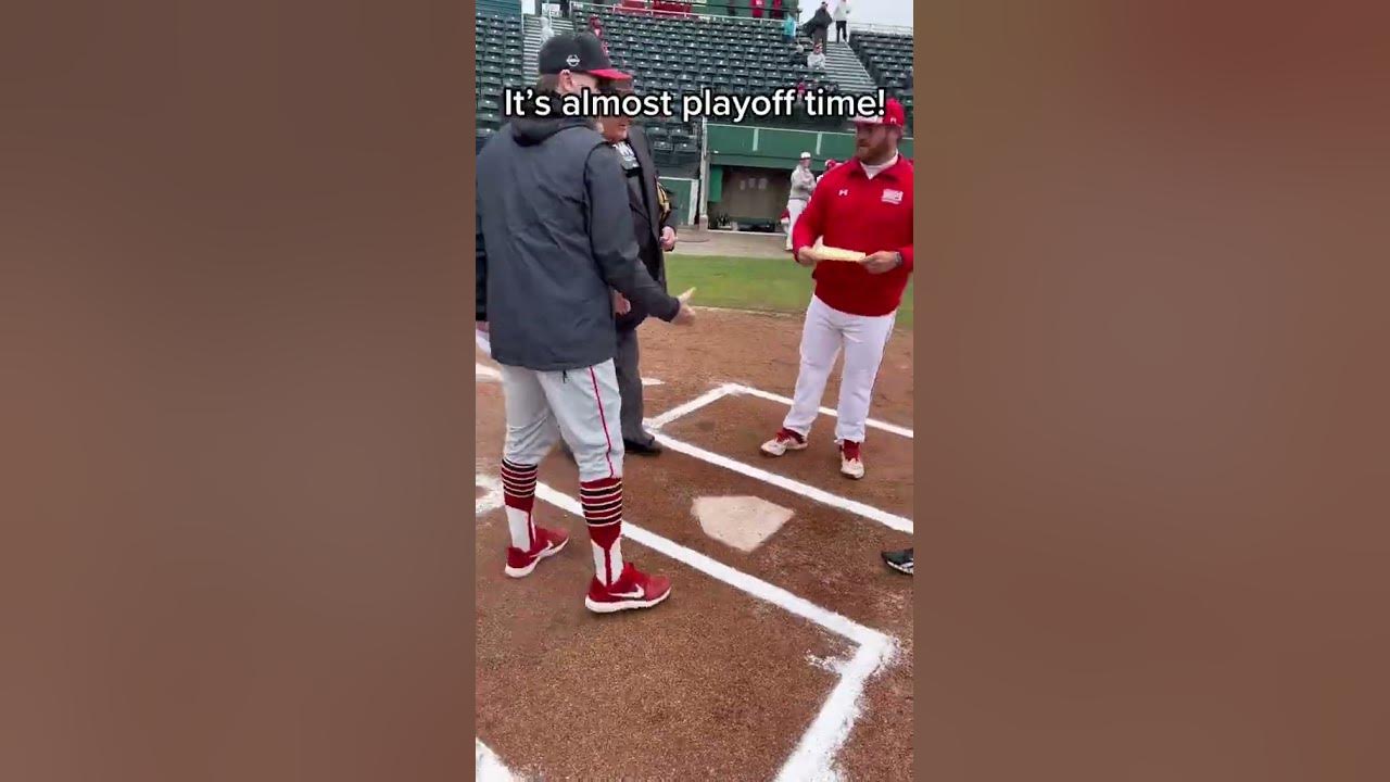 How much D3 umpires get paid 💰shorts YouTube