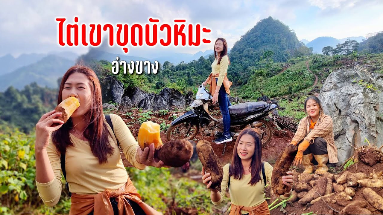 ไต่เขาขุดบ้วหิมะดอยอ่างขางทางแคบโค้งชันอากาศเย็นวิว 360 องศา #ตามทางลมหนาวพัดผ่าน13