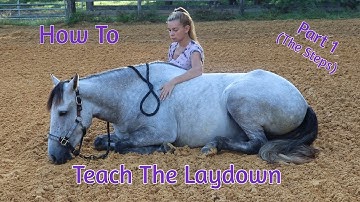How To Teach Your Horse The ‘Laydown