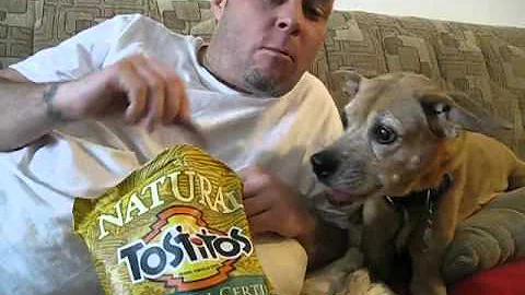 Alice Loves Tostitos