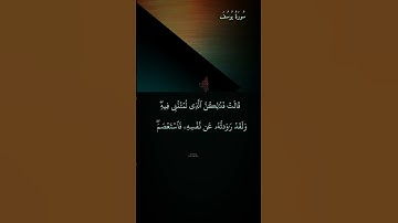 قرأن كريم راحة نفسية سورة يوسف عبدالباسط عبدالصمد #آيه_من_كتاب_الله #اكسبلور