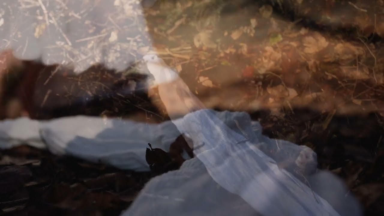 HINGABE I DEVOTION I Claudia Heinle I 2022