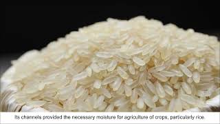 Ch 2 - New Kings And Kingdoms The Cholas Agriculture And Irrigation