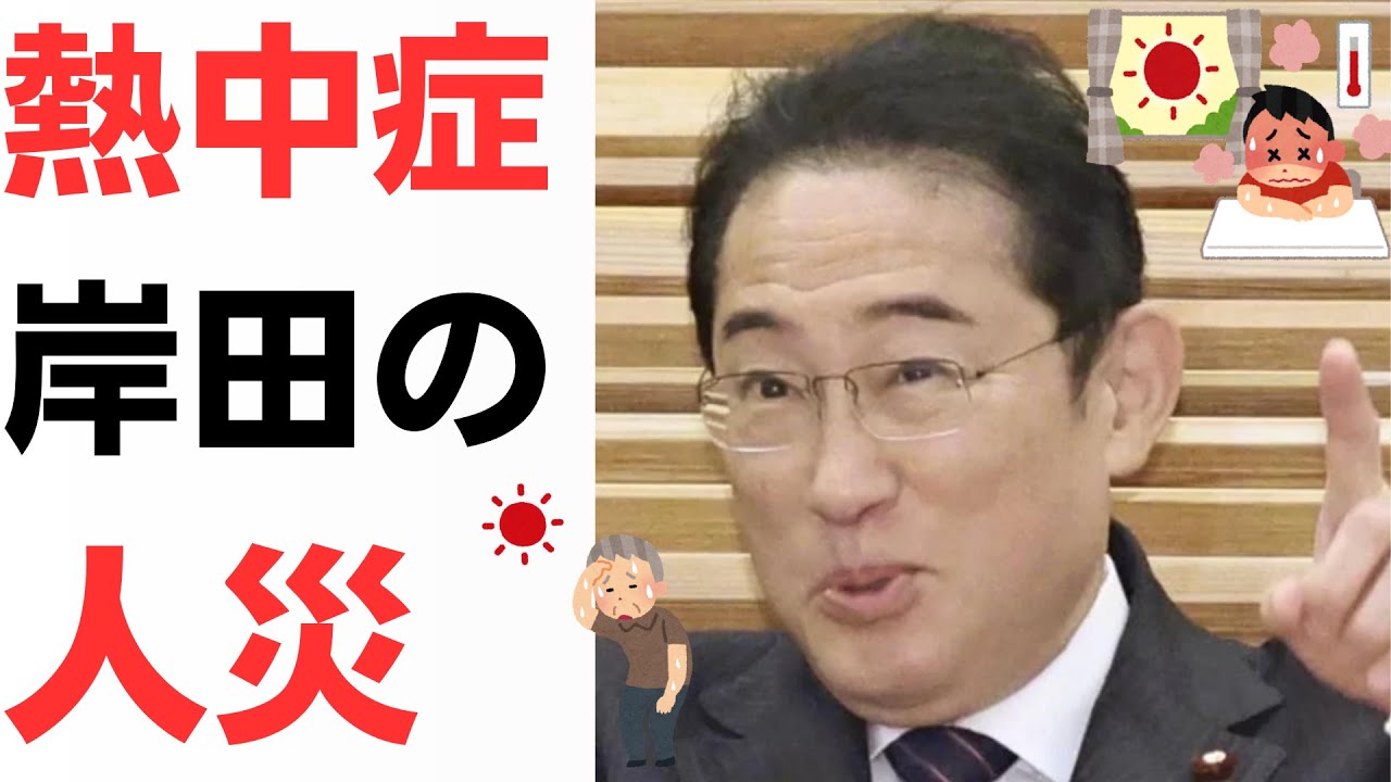 熱中症は無策岸田総理の人災！国民の声を全く聞けていない岸田…こういうときこそ5万円・10万円の現金給付で心置きなくエアコンを使えるようにしろ！を扱う動画のサムネイル