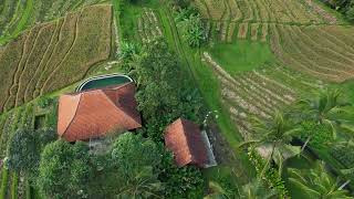Magesty Of Rice Field & Mountain Tabanan, Bali| Dji Mini 3 Pro - Daily Vlog