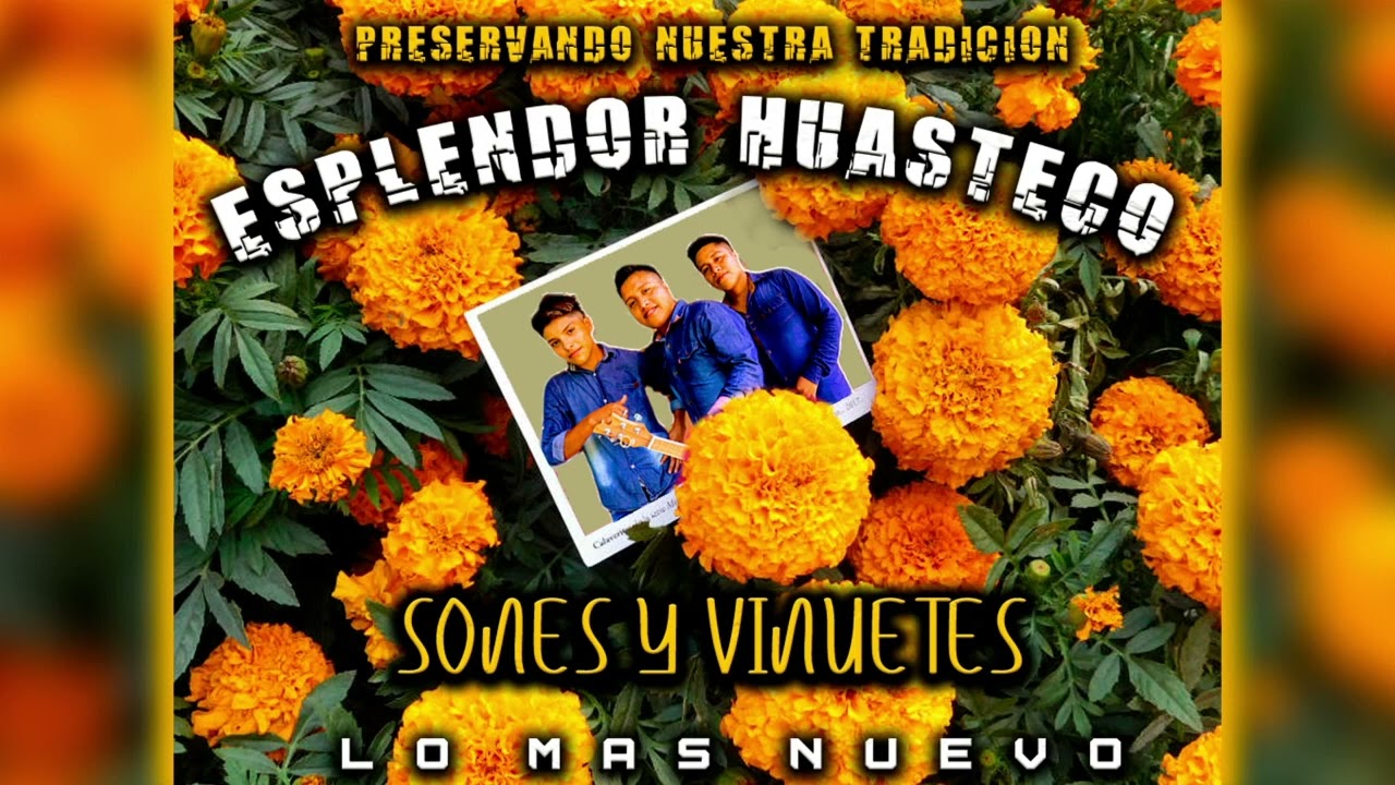 VINUETES SONES LO MAS RECIENTE DE ESPLENDOR HUASTECO EL  ÒRIGINAL VOL 5 DISCO COMPLETO