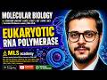 EUKARYOTIC RNA POLYMERASE | MOLECULAR BIOLOGY | PART 1 | CSIR JUNE/DEC 2026 #csirnet