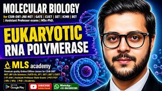 EUKARYOTIC RNA POLYMERASE | MOLECULAR BIOLOGY | PART 1 | CSIR JUNE/DEC 2026 #csirnet