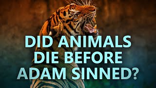 Did animals die before Adam sinned?