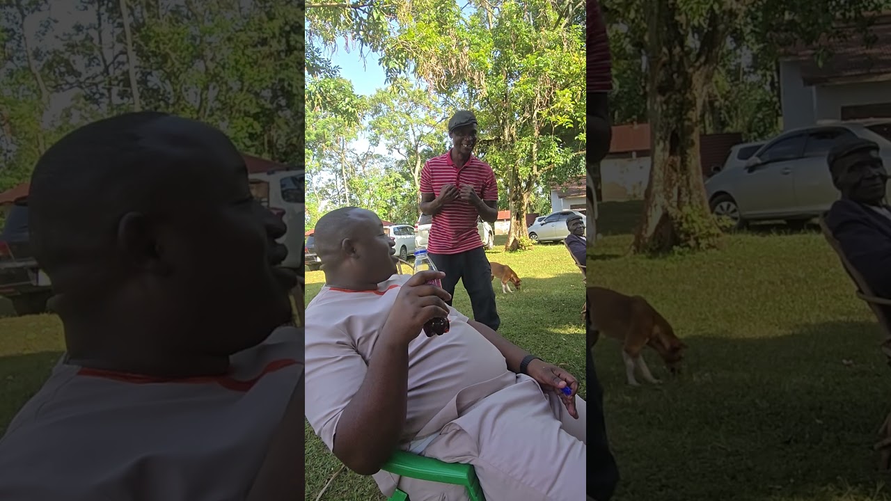 Моя семья забавная. 