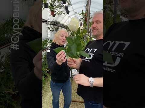 Грунт для рассады семян, грунт для черенкования растений #UltraEffect от Сурового Ботаника