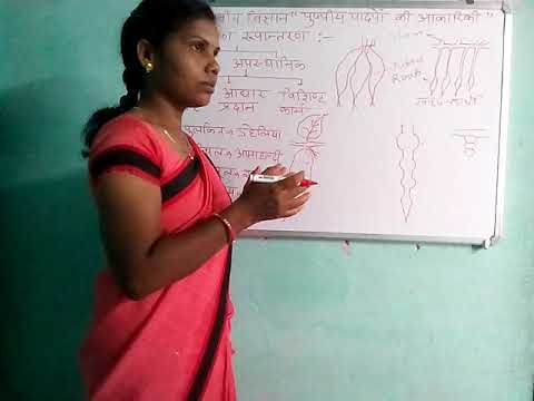 My study class - YouTube