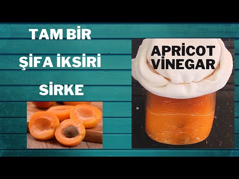 Şifa İksiri Kayısı Sirkesi Nasıl Yapılır, Kayısı Sirkesinin Faydaları