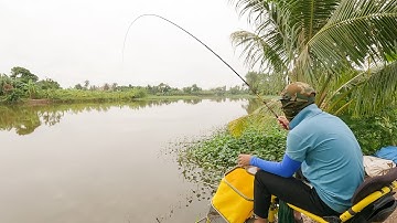 Điểm Câu Nhiều Cá Diếc To tập 3 | An Thổ - Tứ Kỳ - Hải Dương