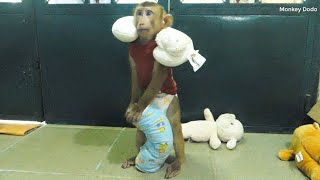 Baby Monkey | Wow Awesome Dodo Standing Wear Soft Pillow And Relaxing