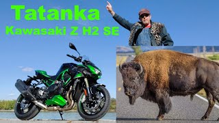 Kawasaki Z H2 SE | Tatanka gegen die bleiche Vernunft