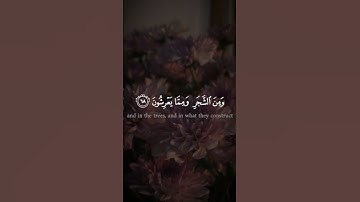 تلاوه من سورة النحل|بصوت القارئ إدريس أبكر🎧♥️#trending #quran #قران_كريم #راحة_نفسية #قرآن