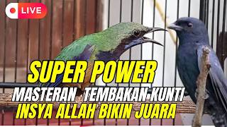 LIVE MASTERAN MATERI GANTANGAN - TEMBAKAN CUNGKOK KUNTI - SIRI-SIRI - FULL BESET PANJANG