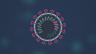 How does the COVID-19 virus work?