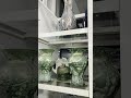 HOMEGOODS GLAM DECOR 2025